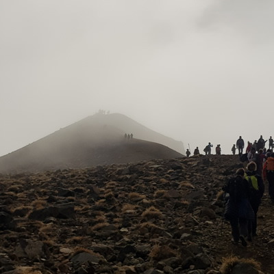 Team Dental at Tongariro