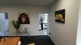 Team Dental Whangarei Dentist